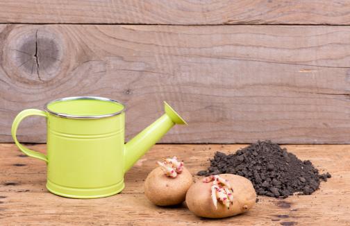 蔬菜雖好,很多時(shí)候卻是“白吃”了