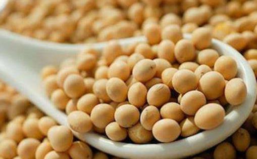 合理的飲食方法能達(dá)到減肥目的 能減肥的蔬菜