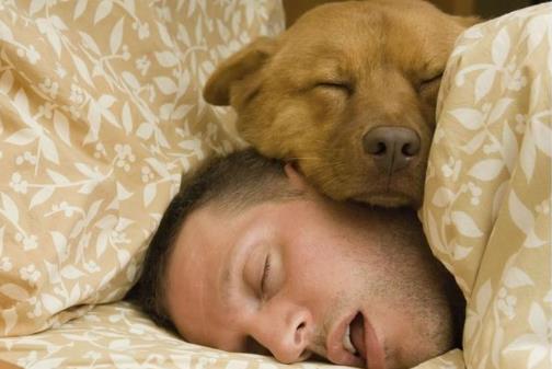 并不是睡得越多就越好 熬夜以后在白天補覺是否有用