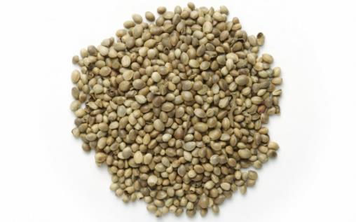 長壽的7個飲食小秘訣 能幫你延年益壽