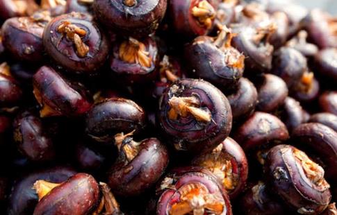 荸薺有什么營養價值？什么人不能吃荸薺