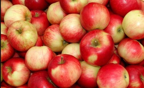 蘋果爛了一塊,整個都不能吃了嗎?為什么