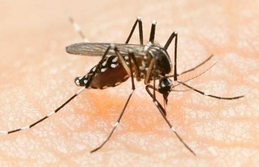 夏季如何幫寶寶遠離蚊蟲叮咬？教你8個方法，誰用誰受益