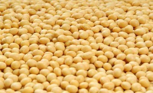 做好乳房的日常保健 合理搭配飲食預防乳腺疾病