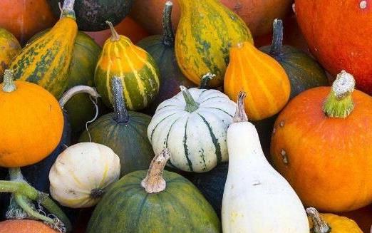 抑郁癥的最基本的飲食建議 預防抑郁癥的飲食禁忌