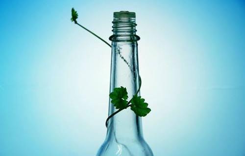 花露水不能驅(qū)蟑螂 花露水的主要作用