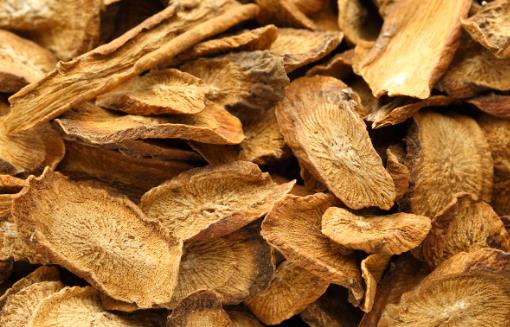 牛蒡茶與牛蒡根，哪個更好？二者僅一字之差，具體又有哪