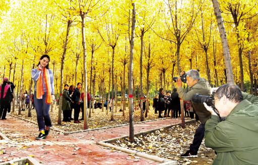 拍攝時，利用這6種對比構圖手法，可以增強照片畫面的視覺