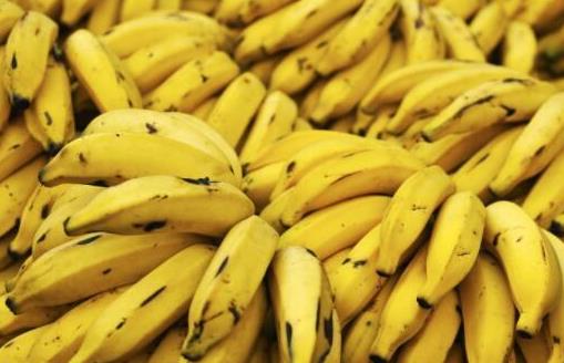 單吃香蕉是否可以減肥 常見的減肥誤區(qū)你都知道幾個(gè)