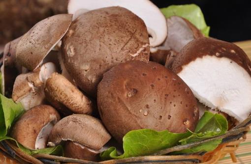 喝咖啡可以減肥是個誤區!你真的想多了