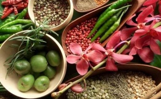 想要科學(xué)養(yǎng)生 食療養(yǎng)生是很好的養(yǎng)生方式