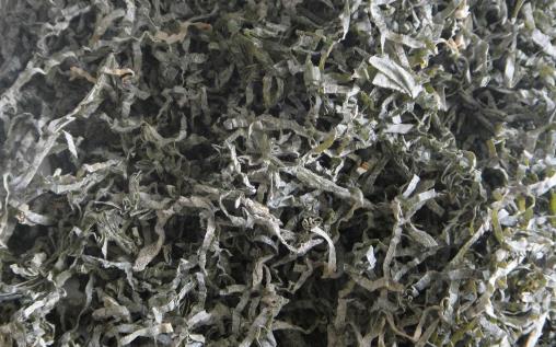 干海帶上的白粉是否可以食用 挑選海帶三看一摸一聞