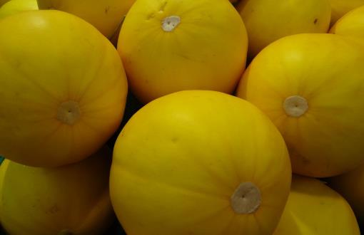 哈密瓜熟不熟？看這幾個(gè)地方就知道