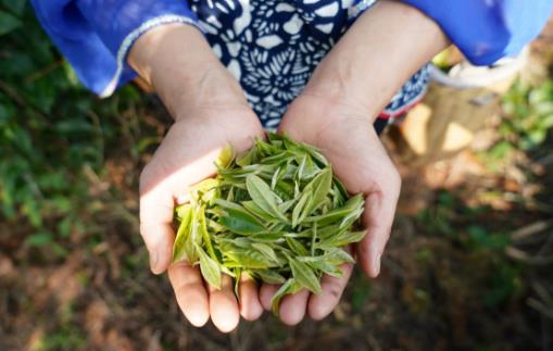 學會食品保鮮，食用健康還省錢