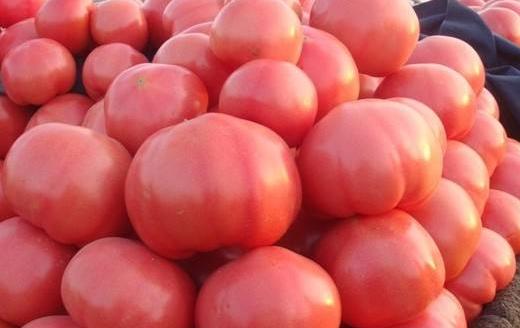 胃口不佳的夏季飲食法則 夏日食譜助你安心過夏