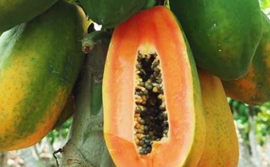 運動之后可以補充的營養 健身長肌肉最快的飲食方法