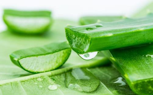 夏天吃什么水果可以美白皮膚