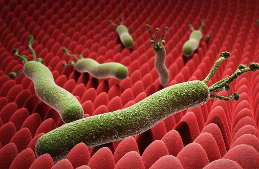 體內有幽門螺桿菌，身體往往有五個標志，占的越多，胃癌