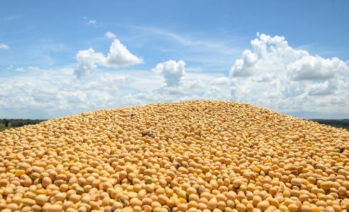 腳部明顯麻木提醒你血糖高了 糖尿病人飲食注意事項