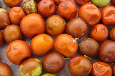 讓血管恢復(fù)“青春”的“保鮮劑” 你知道有哪些嗎?