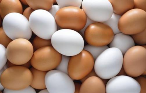 吃雞蛋適當注意細節 保持營養