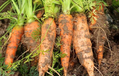 男人為什么會出現脫發 原因在這