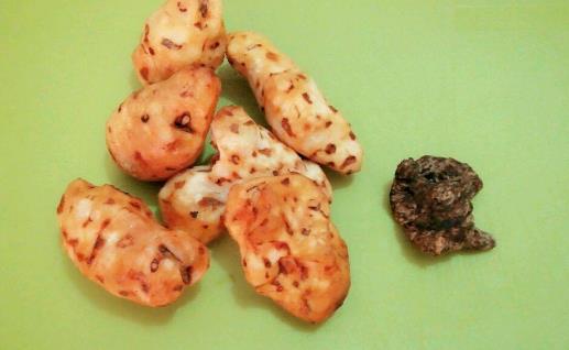 常煲土茯苓草龜湯 可清熱祛濕解毒潤膚