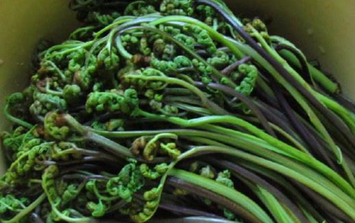 野菜的錯(cuò)誤認(rèn)識(shí) 過量食用或許反而危害健康