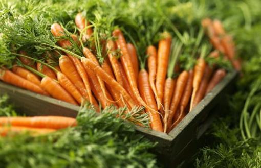 胡蘿卜有點(diǎn)甜糖尿病人可不可以吃？