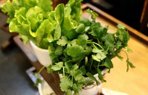 它的“香味”圈粉無數(shù)，又讓人嗤之以鼻，殊不知，吃了它