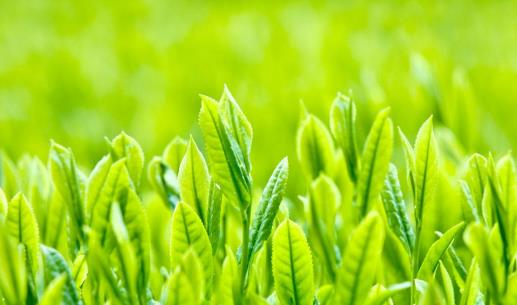 想收回大肚腩,多吃8大清腸小能手,健脾養胃更通便