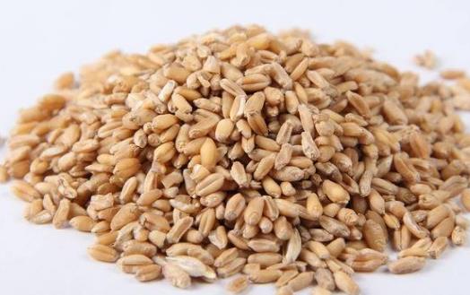 炎炎夏日健脾益氣 四道與小麥有關的湯水