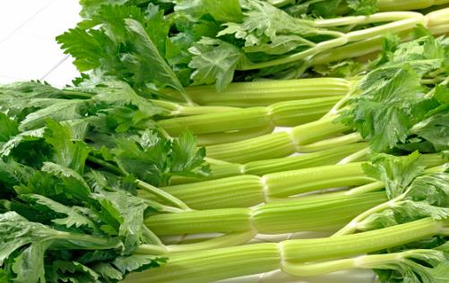 吃芹菜能夠排毒清腸？“清腸”可以清宿便？答案可能在你