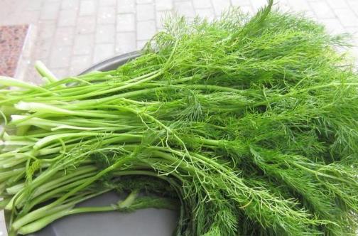 茴香價格便宜，營養(yǎng)并不少，可是營養(yǎng)師提醒，用茴香做餡