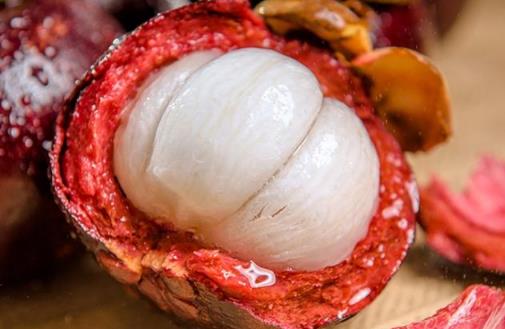 買山竹時，別再傻傻只會看瓣數，看準這“3點”，保證新鮮