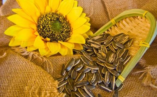 老年人吃堅(jiān)果可以減緩視力衰退 老年人應(yīng)選擇的堅(jiān)果