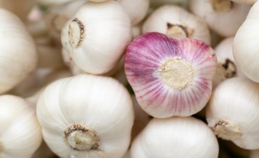 大蒜放久之后腐爛、發芽不能吃,教你一招,讓大蒜3個月不