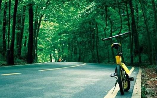 想要達到增壽的目的 要常吃這10種食物