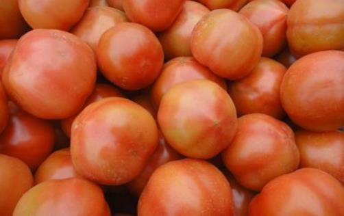 西紅柿到底生吃好還是做菜好？番茄醬等番茄制品也一樣有