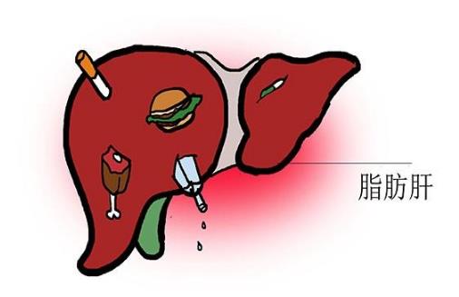 因為一件事，有人脂肪肝逆轉(zhuǎn)回正常，有人演變成癌！就怕