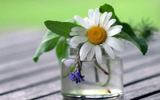 夏季養生重在養心 防止情緒中暑