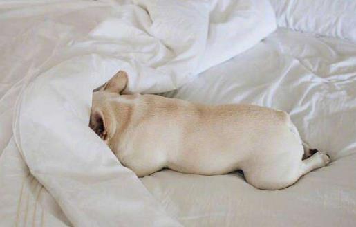 起床緩沖緩沖失敗 適當的賴床卻有益于身體健康