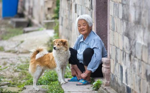養個寵物 對老人的心理和心情都是十分有益