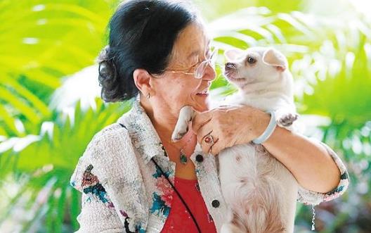 養個寵物 對老人的心理和心情都是十分有益