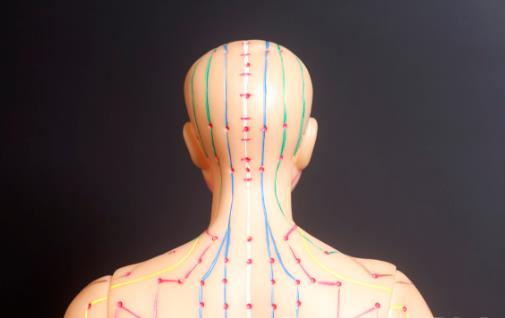 經絡聯系臟腑起重要作用 經絡拍打養生解決身體問題