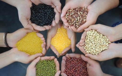 糖友日常飲食要重視 這樣吃更健康