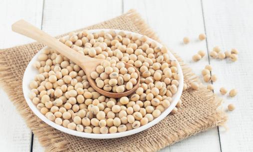 食物營養(yǎng)冠軍榜是時候該收藏了 營養(yǎng)最豐富的食物