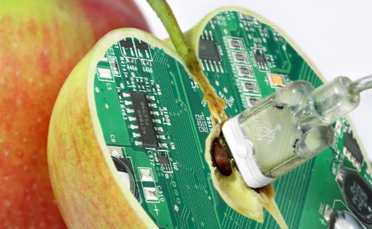 轉基因技術的安全性分析 生產轉基因食品的原因