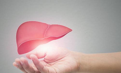 喝水時加點養(yǎng)肝食物 清肝毒排廢物