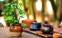 中年人身體健康的表現 具備活到百歲潛質的跡象